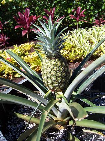 トリップアドバイザー提供