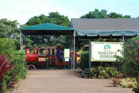 トリップアドバイザー提供