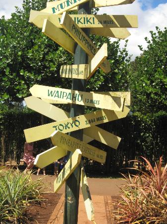 トリップアドバイザー提供