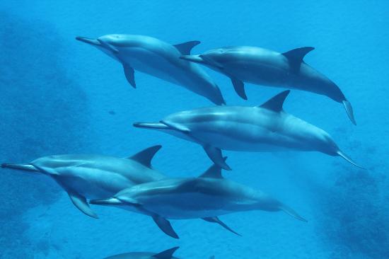 トリップアドバイザー提供