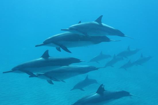 トリップアドバイザー提供
