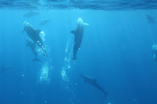 トリップアドバイザー提供