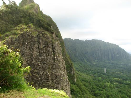 トリップアドバイザー提供