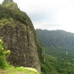 トリップアドバイザー提供