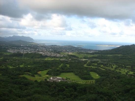 トリップアドバイザー提供