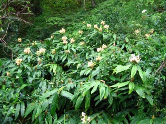 トリップアドバイザー提供