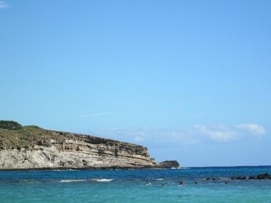 トリップアドバイザー提供