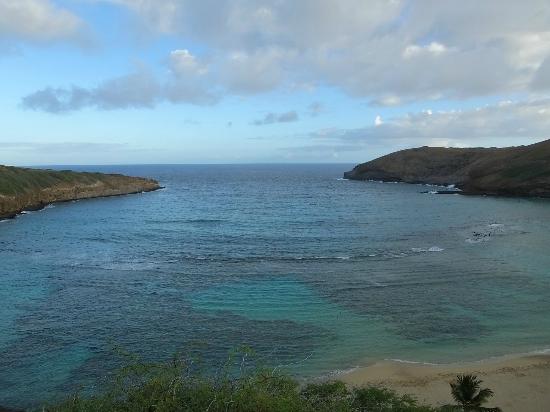 トリップアドバイザー提供