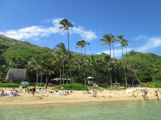 トリップアドバイザー提供