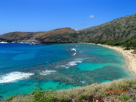 トリップアドバイザー提供