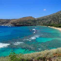 トリップアドバイザー提供