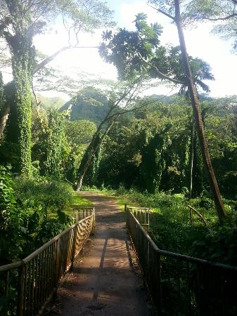 トリップアドバイザー提供