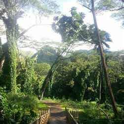 トリップアドバイザー提供