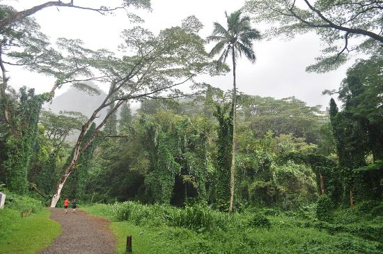 トリップアドバイザー提供