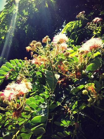 トリップアドバイザー提供