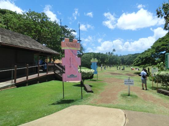 トリップアドバイザー提供