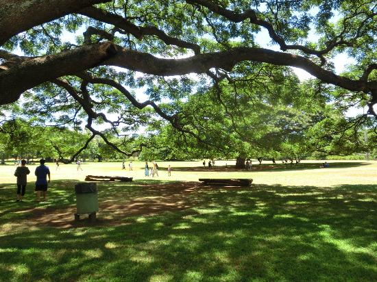 トリップアドバイザー提供