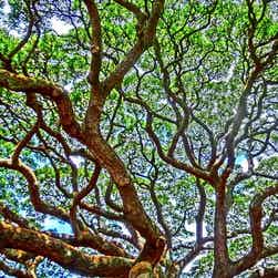 トリップアドバイザー提供