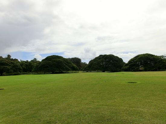 トリップアドバイザー提供