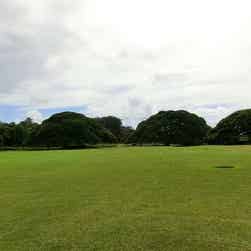 トリップアドバイザー提供