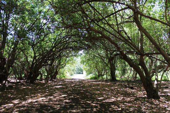 トリップアドバイザー提供