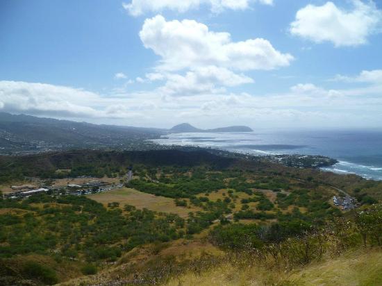 トリップアドバイザー提供