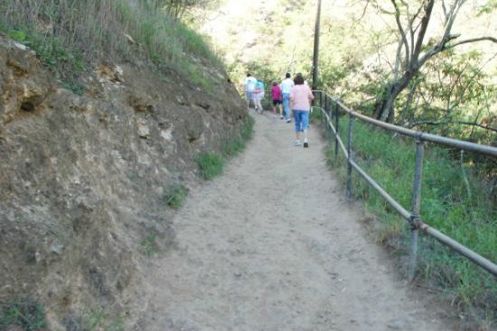 トリップアドバイザー提供