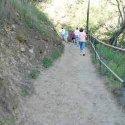 トリップアドバイザー提供