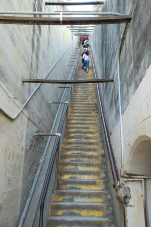 トリップアドバイザー提供