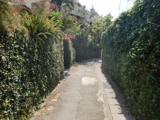 トリップアドバイザー提供