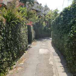 トリップアドバイザー提供