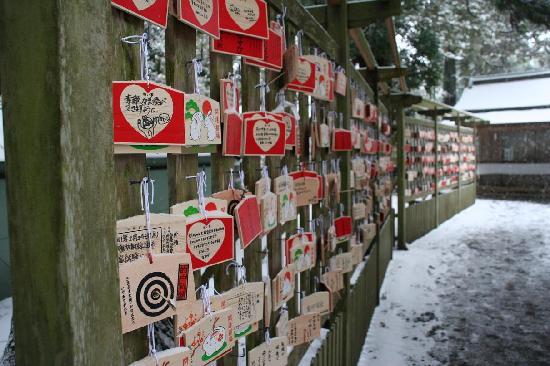 トリップアドバイザー提供