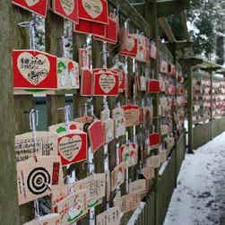 トリップアドバイザー提供