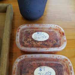 トリップアドバイザー提供