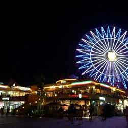 トリップアドバイザー提供