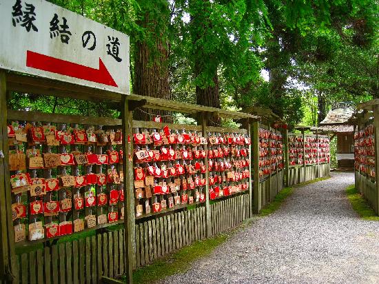 トリップアドバイザー提供