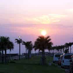 トリップアドバイザー提供