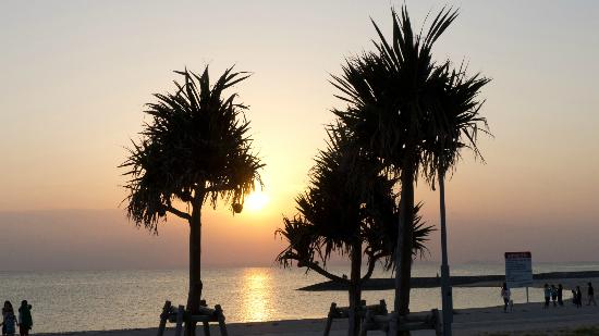 トリップアドバイザー提供