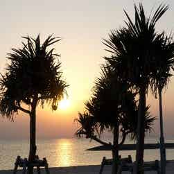 トリップアドバイザー提供