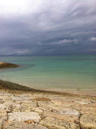 トリップアドバイザー提供