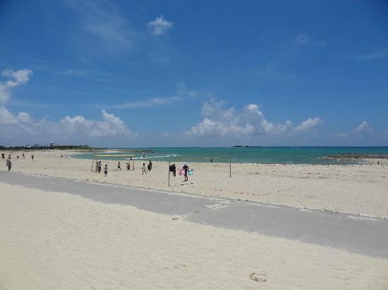 トリップアドバイザー提供