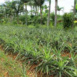 トリップアドバイザー提供