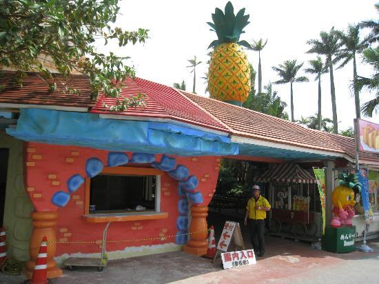 トリップアドバイザー提供