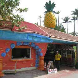 トリップアドバイザー提供