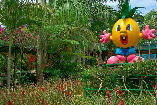 トリップアドバイザー提供