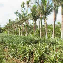 トリップアドバイザー提供