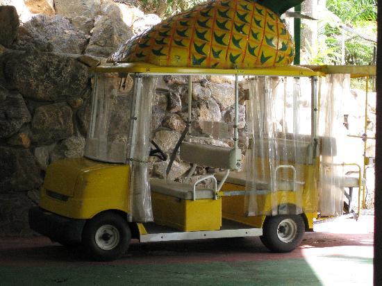 トリップアドバイザー提供