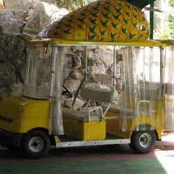 トリップアドバイザー提供