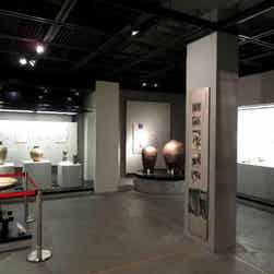 トリップアドバイザー提供