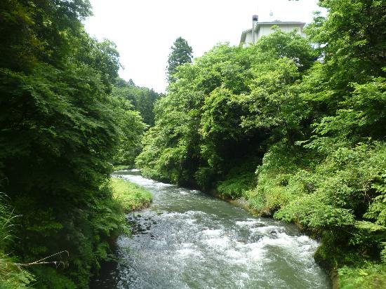 トリップアドバイザー提供